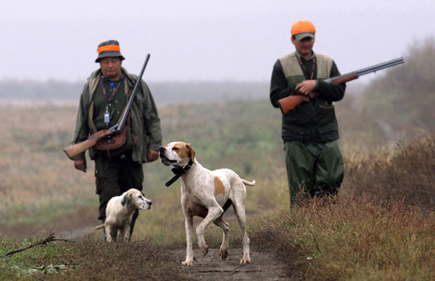 Ловци нишане свињску кугу
